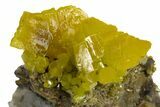Lustrous Forest-Green Pyromorphite Crystal Cluster - China #330109-1